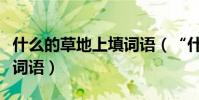 什么的草地上填詞語(“什么的草地”怎么填詞語)