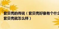 紫貝殼的傳說(紫貝殼好像有個什么傳說好像戀人找到一對紫貝殼就怎么樣)