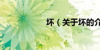 壞(關于壞的介紹)