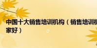 中國十大銷售培訓機構(銷售培訓機構排名銷售技巧培訓哪家好)