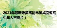 2021年最新唯美高清電腦桌面壁紙(2021新年壁紙2021年牛年大吉圖片)