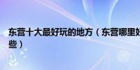 東營十大最好玩的地方(東營哪里好玩東營好玩的景點有哪些)