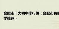 合肥市十大初中排行榜(合肥市有哪些好中學合肥市重點中學推薦)
