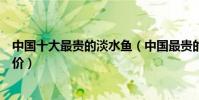 中國十大最貴的淡水魚(中國最貴的淡水魚品種曾經賣出天價)