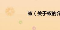 蟻(關于蟻的介紹)