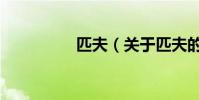匹夫(關于匹夫的介紹)