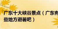 廣東十大峽谷景點(廣東有哪些峽谷盛夏去這些地方避暑吧)