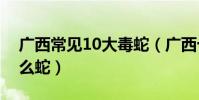廣西常見10大毒蛇(廣西十大蛇類廣西有什么蛇)