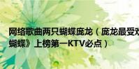 網絡歌曲兩只蝴蝶龐龍(龐龍最受歡迎歌曲top10:《兩只蝴蝶》上榜第一KTV必點)