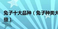 兔子十大品種(兔子種類大全寵物兔品種有哪些)