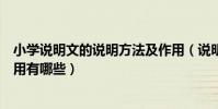 小學說明文的說明方法及作用(說明文的說明方法及表達作用有哪些)