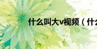什么叫大v視頻(什么叫大V)