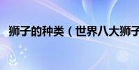 獅子的種類(世界八大獅子榜首已經滅絕)