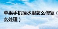蘋果手機掉水里怎么修復(蘋果手機掉水里怎么處理)