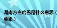 湖南方言哈巴是什么意思(湖南方言哈寶什么意思)