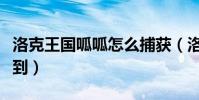 洛克王國呱呱怎么捕獲(洛克王國呱呱怎么得到)