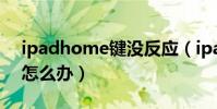 ipadhome鍵沒反應(ipadhome鍵沒反應怎么辦)