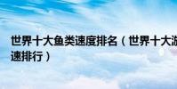 世界十大魚類速度排名(世界十大游泳最快的魚各大魚類時速排行)
