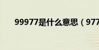 99977是什么意思(977是什么意思)