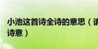 小池這首詩全詩的意思(請解釋古詩(小池)的詩意)