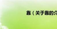 靠(關于靠的介紹)
