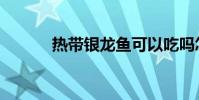 熱帶銀龍魚可以吃嗎怎么(吃)