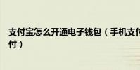 支付寶怎么開通電子錢包(手機支付寶錢包怎么開通快捷支付)