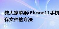 教大家蘋果iPhone11手機怎么清理垃圾和緩存文件的方法