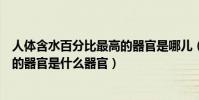 人體含水百分比最高的器官是哪兒(人體含水量百分比最高的器官是什么器官)