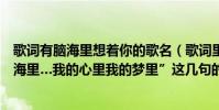 歌詞有腦海里想著你的歌名(歌詞里有“你存在我深深的腦海里…我的心里我的夢里”這幾句的歌名是什么啊)