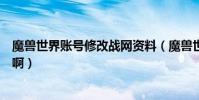 魔獸世界賬號修改戰網資料(魔獸世界怎么修改戰網通行證啊)