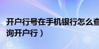 開戶行號在手機銀行怎么查詢(有行號怎么查詢開戶行)