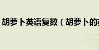 胡蘿卜英語復數(胡蘿卜的英文有復數的嗎)