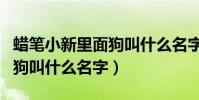蠟筆小新里面狗叫什么名字(蠟筆小新中的狗狗叫什么名字)