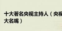 十大著名央視主持人(央視十佳主持人央視十大名嘴)