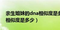 親生姐妹的dna相似度是多少(兄妹的DNA相似度是多少)