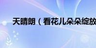 天晴朗(看花兒朵朵綻放 出自哪首歌)