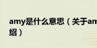 amy是什么意思(關于amy是什么意思的介紹)