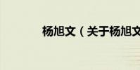 楊旭文(關于楊旭文的介紹)