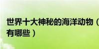 世界十大神秘的海洋動物(海洋里神秘的動物有哪些)