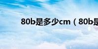 80b是多少cm(80b是多大胸圍)