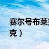 賽爾號布萊克雷伊cp（賽爾號雷伊咋打布萊克）