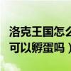 洛克王國怎么培育bug蛋（洛克王國無牙惡魔可以孵蛋嗎）