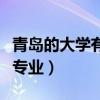 青島的大學有哪些三本（青島大學三本有哪些專業）
