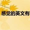 感覺的英文有哪些（“感覺”的英文是什么）