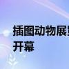 插圖動物展覽將于8月6日在西澳大學美術館開幕