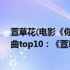萱草花(電影《你好,李煥英》主題曲)（2021最好聽影視歌曲top10：《萱草花》上榜第二趙英俊所作）