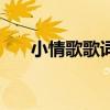 小情歌歌詞（關于小情歌歌詞的介紹）