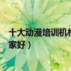 十大動漫培訓機構（國內知名動漫培訓機構動漫培訓學校哪家好）