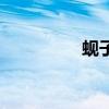 蜆子（關于蜆子的介紹）
